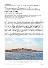 О гнездовании лебедя-шипуна Cygnus olor на полуострове Киперорт на северном берегу Финского залива