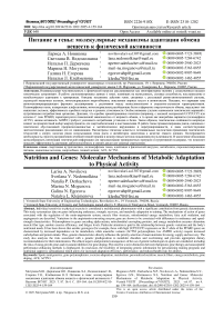 Питание и гены: молекулярные механизмы адаптации обмена веществ к физической активности