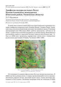 Авифауна водораздельных болот Катым-Алымского междуречья (Уватский район, Тюменская область)