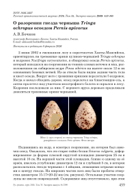 О разорении гнезда черныша Tringa ochropus осоедом Pernis apivorus