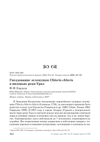 Гнездование зеленушки Chloris chloris в низовьях реки Урал