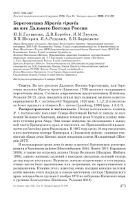 Береговушка Riparia riparia на юге Дальнего Востока России