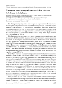 Плавучее гнездо серой цапли Ardea cinerea