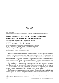 Находка гнезда большого крохаля Mergus merganser на Таймыре за пределами северной границы ареала вида