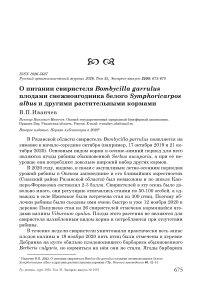 О питании свиристеля Bombycilla garrulus плодами снежноягодника белого Symphoricarpos albus и другими растительными кормами