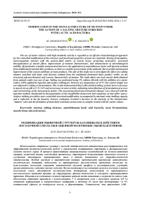 Modification in the muscle structure of mutton under the action of a salting mixture enriched with lactic acid bacteria
