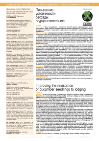 Повышение устойчивости рассады огурца к полеганию