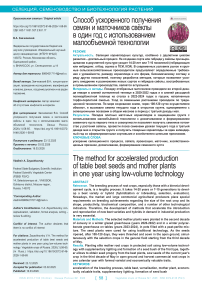 Способ ускоренного получения семян и маточников свёклы в один год с использованием малообъемной технологии