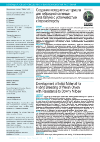 Создание исходного материала для гибридной селекции лука батуна с устойчивостью к пероноспорозу