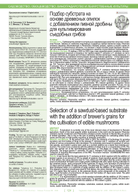 Подбор субстрата на основе древесных опилок с добавлением пивной дробины для культивирования съедобных грибов