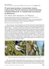 О пространственных отношениях между камчатским Poecile montanus kamtschatkensis и берингийским P. m. anadyrensis пухляками на Камчатке