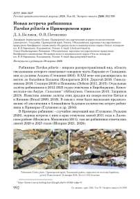 Новая встреча рябинника Turdus pilaris в Приморском крае