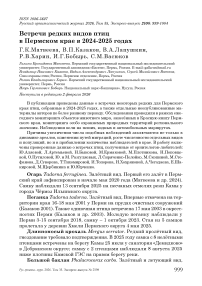 Встречи редких видов птиц в Пермском крае в 2024-2025 годах