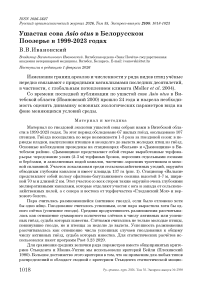 Ушастая сова Asio otus в Белорусском Поозерье в 1999-2023 годах