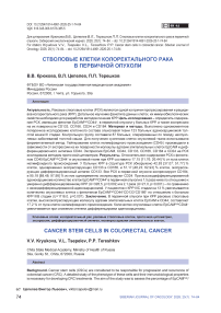 Стволовые клетки колоректального рака в первичной опухоли