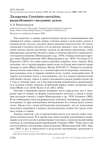 Лазоревка Cyanistes caeruleus выдалбливает гнездовое дупло