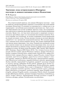 Значение лоха остроплодного Elaeagnus oxycarpa в зимнем питании птиц в Казахстане