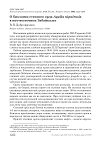 О биологии степного орла Aquila nipalensis в юго-восточном Забайкалье