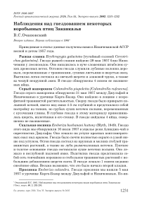 Наблюдения над гнездованием некоторых воробьиных птиц Закавказья