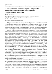 О гнездовании беркута Aquila chrysaetos в окрестностях города Заполярного (Мурманская область)