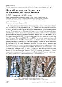 Желна Dryocopus martius ест сало на кормушке для птиц в Тюмени