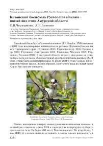 Китайский бюльбюль Pycnonotus sinensis – новый вид птиц Амурской области