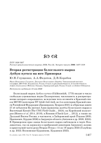 Вторая регистрация белоглазого нырка Aythya nyroca на юге Приморья