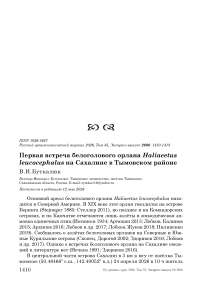 Первая встреча белоголового орлана Haliaeetus leucocephalus на Сахалине в Тымовском районе