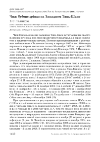 Чиж Spinus spinus на Западном Тянь-Шане