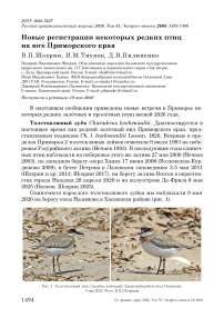 Новые регистрации некоторых редких птиц на юге Приморского края