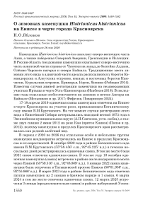 О зимовках каменушки Histrionicus histrionicus на Енисее в черте города Красноярска