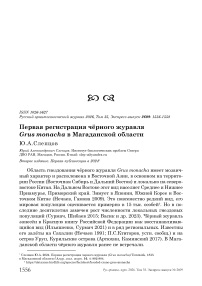Первая регистрация чёрного журавля Grus monacha в Магаданской области