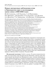 Новые интересные наблюдения птиц в Приморском крае в календарные сроки зимы в 2020-2026 годах