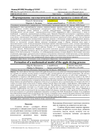 Формирование математической модели процесса сушки яблок