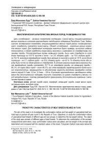 Фенотипическая характеристика мясных пород, разводимых в Туве