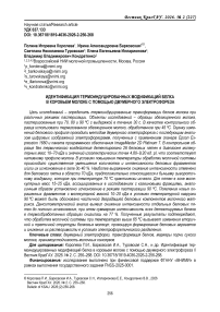 Идентификация термоиндуцированных модификаций белка в коровьем молоке с помощью двумерного электрофореза