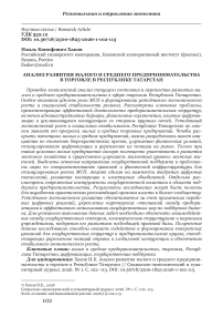 Анализ развития малого и среднего предпринимательства в торговле в Республике Татарстан