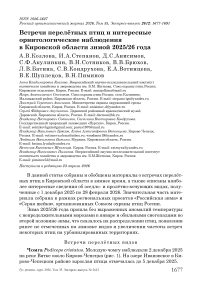 Встречи перелётных птиц и интересные орнитологические наблюдения в Кировской области зимой 2025/26 года