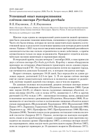 Успешный опыт выкармливания слётков снегиря Pyrrhula pyrrhula