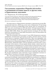 Гнездование каравайки Plegadis falcinellus в смешанной колонии цапель и других птиц в Приазовском заказнике