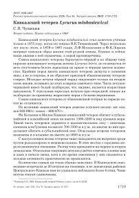 Кавказский тетерев Lyrurus mlokosiewiczi