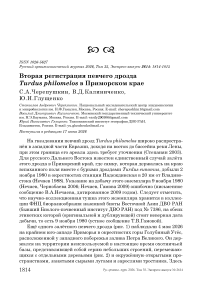 Вторая регистрация певчего дрозда Turdus philomelos в Приморском крае