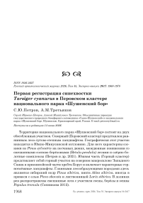 Первая регистрация синехвостки Tarsiger cyanurus в Перовском кластере национального парка «Шушенский бор»