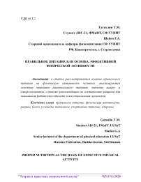 Правильное питание как основа эффективной физической активности