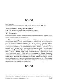 Мандаринка Aix galericulata в Большехехцирском заповеднике