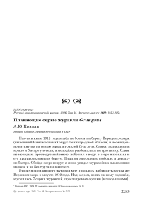 Плавающие серые журавли Grus grus