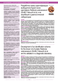 Разработка схемы идентификации возбудителя бурой гнили картофеля Ralstonia solanacearum (Smith) Yabuuchi et al. и ее апробация в диагностической лаборатории
