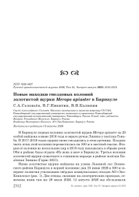 Новые находки гнездовых колоний золотистой щурки Merops apiaster в Барнауле