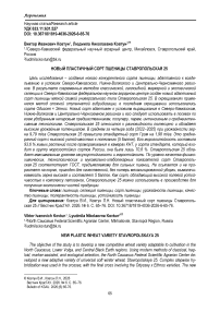 Новый пластичный сорт пшеницы Ставропольская 25