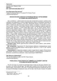 Фенологические особенности производственных сортов ежевики в условиях Московской области